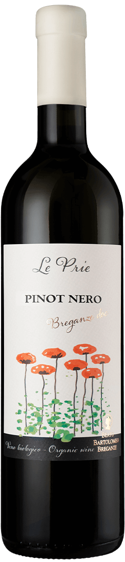 Pinot Nero Breganze DOC “Le Prie”