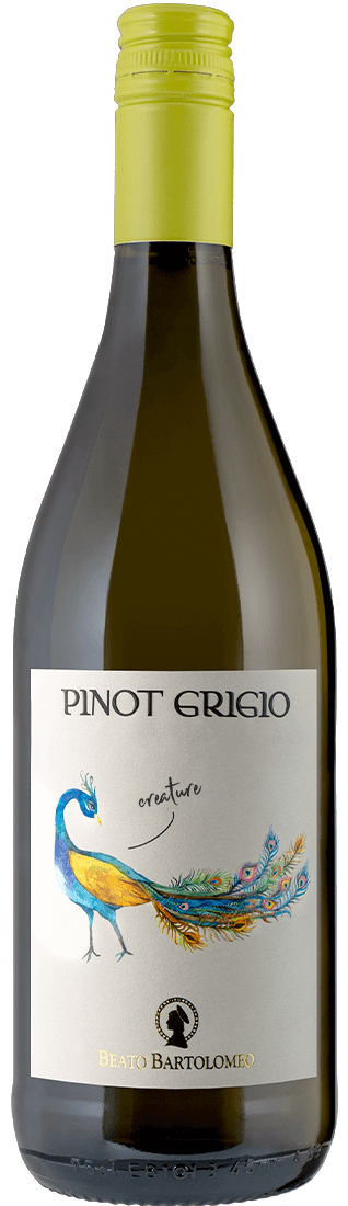 Pinot Grigio Delle Venezie DOC