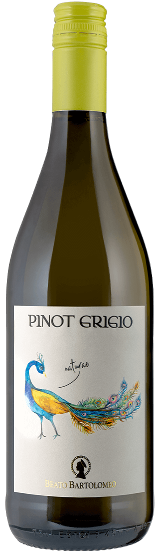 Pinot Grigio Delle Venezie DOC