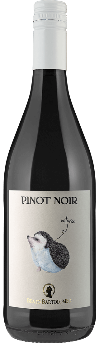 Pinot Nero Veneto IGT