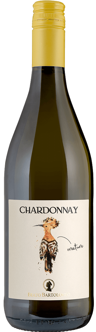 Chardonnay Veneto IGT