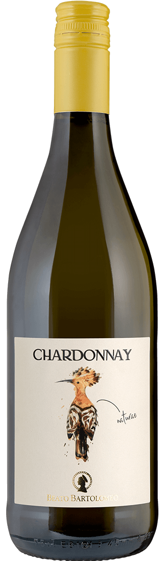 Chardonnay Veneto IGT