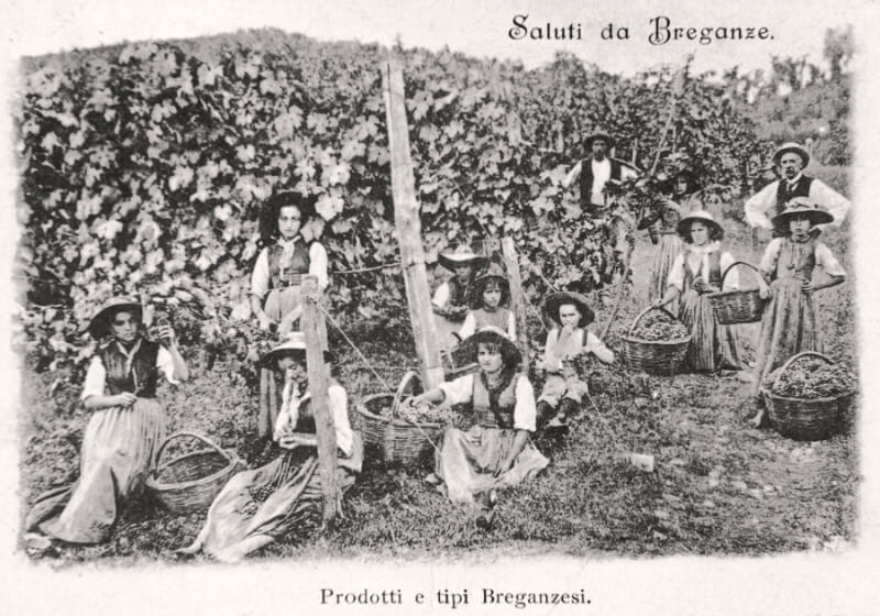 A postcard of Breganze of 1901
